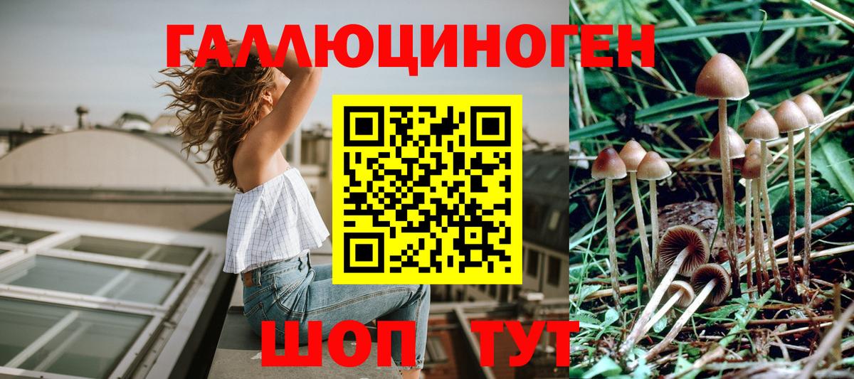 Псилоцибиновые грибы Psilocybine cubensis  Вход с VPN  Шадринск 